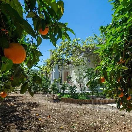 Casa Cicala Hébergement de vacances